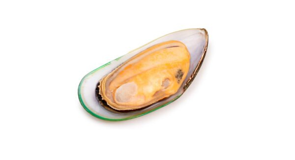 Green Half Shell Mussels Frozen